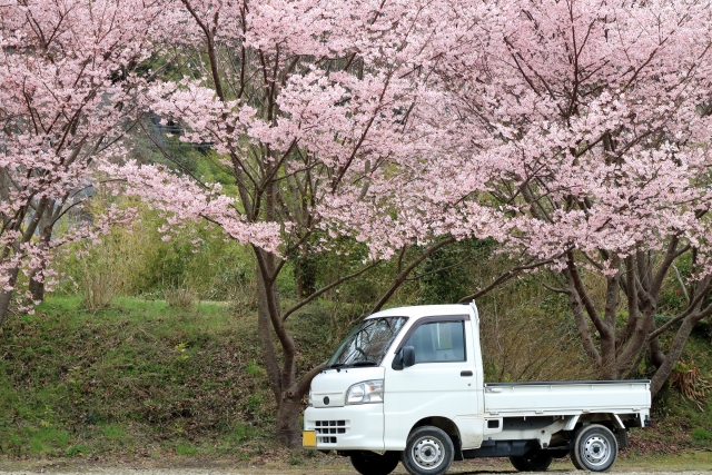 What’s Japanese Kei Trucks?